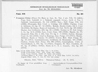 Uromyces viciae-fabae image